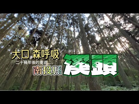 【南投溪頭】神木林道、美麗大學池 、大口森呼吸、享受自然的美好｜Exploring XiTou｜溪頭の探索｜시투 탐험