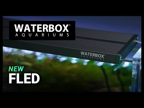 FLED Freshwater Lighting System from Waterbox Aquariums®