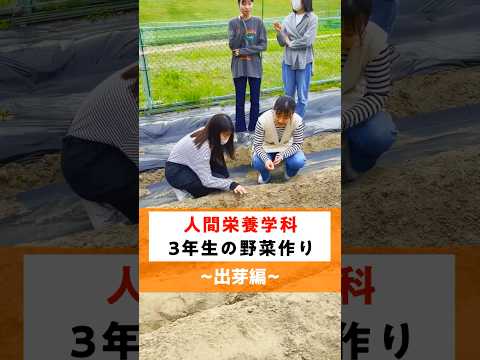 【人間栄養学科】文教農園 #002【出芽編】  #畑  #広島