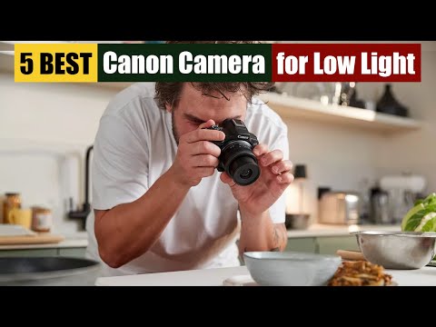 Best Canon Camera for Low Light of 2024