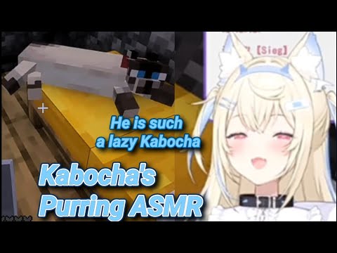 Fuwawa's Kabocha Purring ASMR