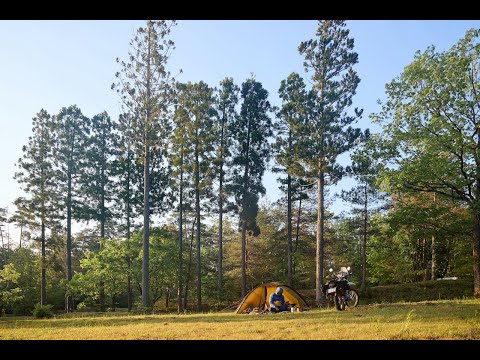 A solo camp surrounded by the chirping of birds in the forest - hilleberg unna - セロー250 serow250