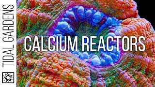 Calcium Reactors Explained