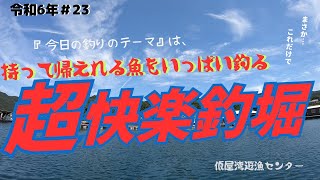 20240916　第23回釣行　仮屋湾遊漁センター　今日の釣りのテーマ『持ち帰れる魚をいっぱい釣る』９月１９日（月）誤り→→９月１６日（月）正解です！