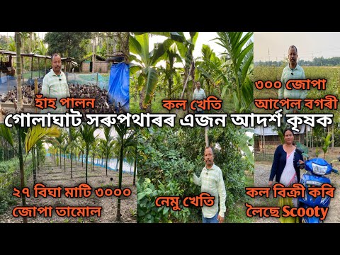 এজন আদৰ্শ কৃষকে ২৭ বিঘা মাটি ৩০০০ জোপা তামোল,নেমু খেতি,কল খেতি,আপেল বগৰী,হাঁহ পালন কৰিছে চাওক।