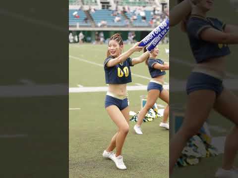 2024/09 All Mitsubishi Lions Cheerleaders #cheerleader