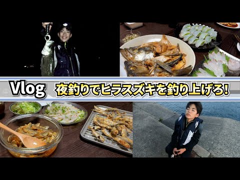 【Vlog】家族で釣りに行こう🎣夜に小アジを釣ってヒラスズキを狙ってみる🐟