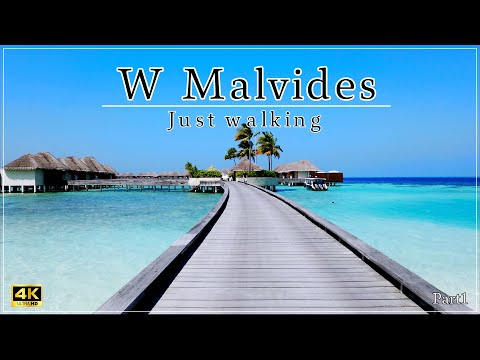 【Wモルディブ】水上ヴィラを歩いてみたー前編ー（Just walking around the villas on the ocean of W Maldives.~Part1~)