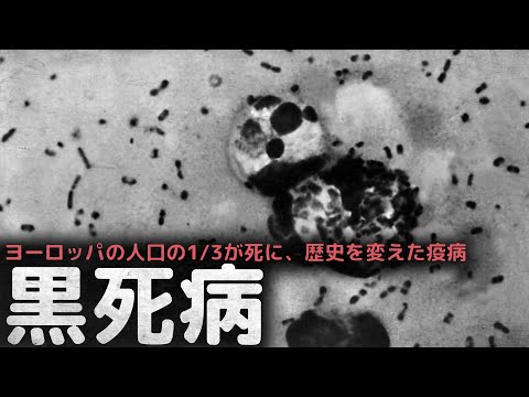 ヨーロッパの人口の1/3が死に絶えた、最も多くの人を殺した伝染病、歴史を変えた疫病”