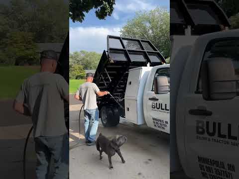 Bulldog Helps Wash Dump Truck @bulldogtractor #shorts #short #youtubeshorts #bulldogs