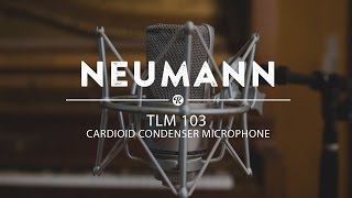 Neumann TLM 103 Cardioid Condenser Microphone | Reverb Demo Video