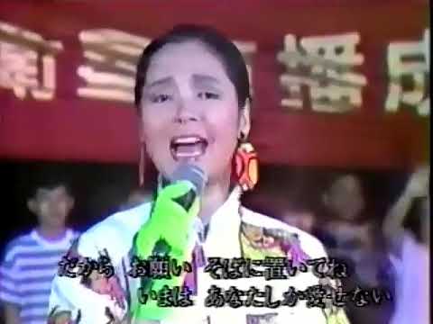 鄧麗君_時の流れに身をまかせ1986