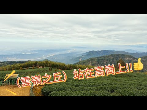 最美的[149甲]縣道:雲嶺之丘.五元兩角.木馬古道.九芎公廟@SINGFU