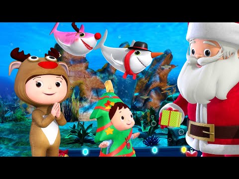 Sharks in Santa Hats! A Festive Christmas at the Aquarium! 🦈🎅 | Fun Baby Songs | Classic Baby Song