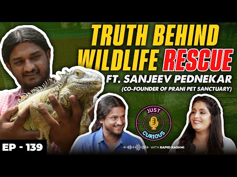 The Risks of Wildlife Rescue, Running a Pet Sanctuary, Guidelines for Animal Rescue, Money & More