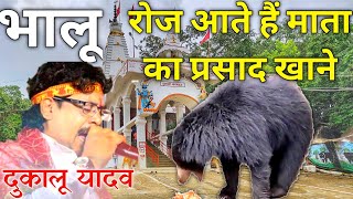 Ghuchapali Ke Chandi Dai Vo | Dukalu Yadav | Bagbahara | Bhalu Mandir