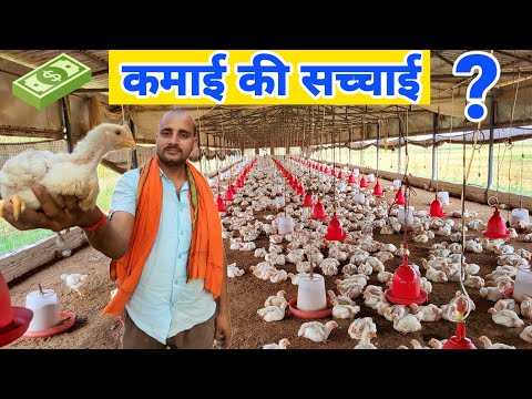 बॉयलर मुर्गी पालन की पूरी जानकारी | Poultry farm A to Z