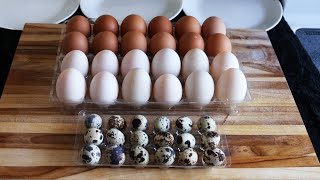 Chicken Eggs vs. Duck Eggs vs. Quail Eggs