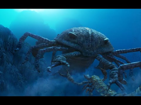 Paleo Profile - Sea Scorpions