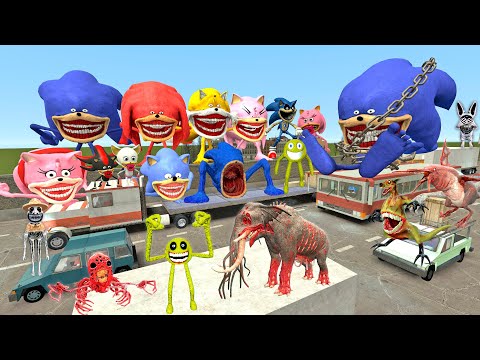 🚗 FREEWAY SPARTAN KICKING ZOOCHOSIS ANIMALS SONIC TAPES FAMILY AMY SHIN ROBLOX SMILEY'S in Gmod !