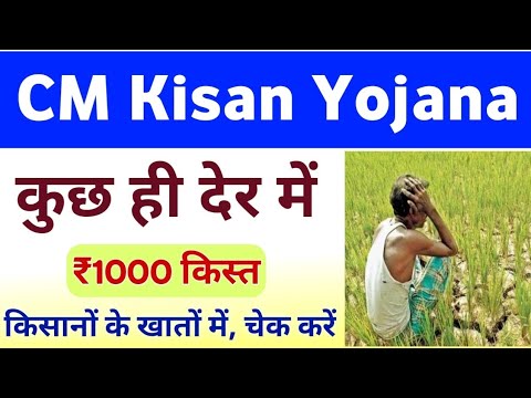 Rajasthan CM Kisan Yojana 1st Installment Payment Check Process 2024 | सीएम किसान किस्त चेक कैसे करे