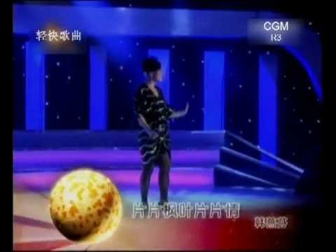 cgm2012 R3-B09 韩燕芬-片片枫叶片片情