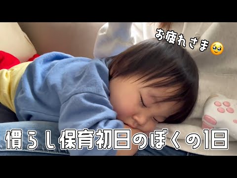 慣らし保育初日。泣き疲れたぼくの1日【1歳児クラス/保育園デビュー】