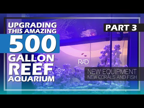 RENOVATING THIS 500 GALLON REEF AQUARIUM - BY REEF AQUARIA DESIGN. NEW FISH AND CORALS. PART 3.