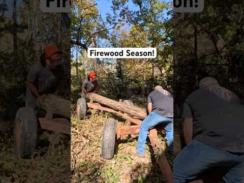 🔥 Firewood Cutting Season has started! 🔥 #chainsaw #husqvarna #homesteading