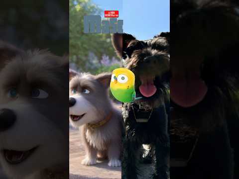 Así se verían mis perros si fueran personajes de La Vida Secreta de las Mascotas #shorts