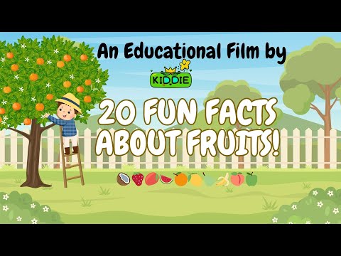 🫐 Discover 20 Fruit Fun Facts 🍊🍓🍉:  Funny Fruits Videos for Kids to Learn