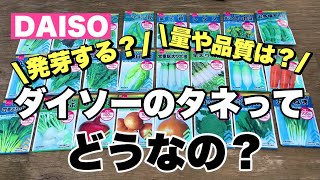 【100均】ダイソー　やっと見つけた！大人気の野菜の種！売り切れ続出