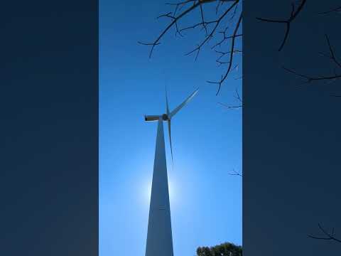 windmill #japan #kyushu #nagasaki #sasebo