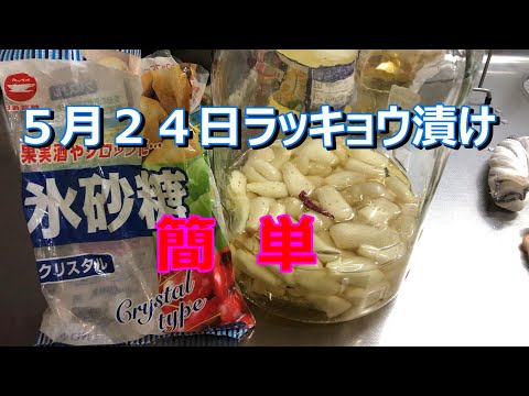 ５月２４日新物らっきょう漬け、鳥取のらっきょうが手に入ったので今年も漬けてみました簡単にでき自分好みで味付けもできるので本当に美味しくできます。保存食にも良いですね。