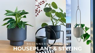 Beginners Houseplant Tour + Styling Tips (Decorate With Indoor Plants 🌱)