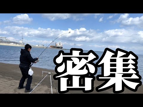 【北海道】【釣り】水中映像にカレイ軍団が押し寄せる‼️