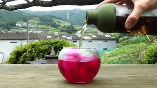 Iced Shiso Wakoucha - アイスしそ和紅茶