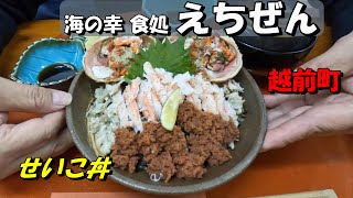 【海の幸　食処　えちぜん】せいこ丼とせいこ定食をたべてきました。どうしても「カニの刺身」が食べたかったので越前町の鮮魚店で活蟹を買って自宅で「さしみ」「蒸し」「焼き」に挑戦しましたが・・・。