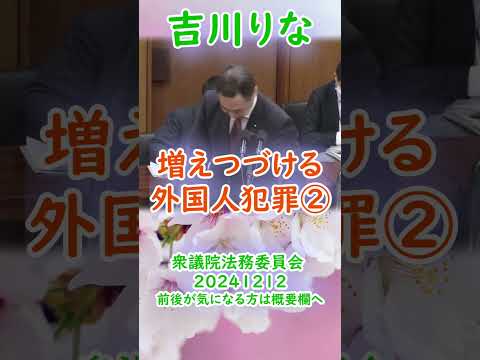 参政党【吉川りな】衆議院法務委員会20241212-③【増えつづける在日外国人犯罪②】