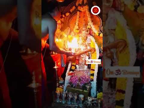 Goddess Vani Abhishekam puja#saraswatipuja #saraswati