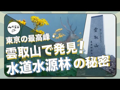 東京最高峰・雲取山で発見！水道水源林の秘密