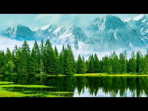 自然声音  钢琴音乐 平静静心  解压放松  工作休息 Ambient  Music  piano music  relaxing music