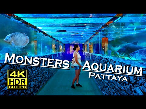 Monsters Aquarium Pattaya Thailand  4K 60fps HDR (UHD) Dolby Atmos 💖 Walking Tour 👀 Chon Buri 🇹🇭