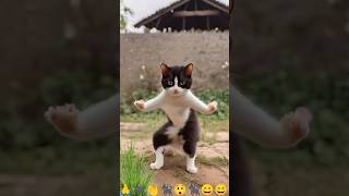 Cat billi dancer Bhilai ke#bha video dance black dance karne wala video short video viral# #santosh