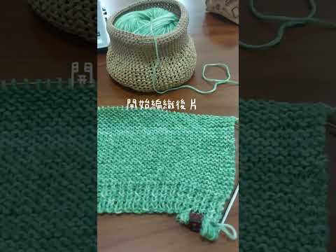 麻花毛衣完整版#knitting #crochet #sweater