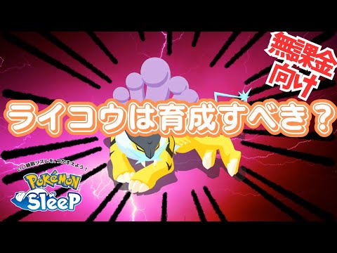 【ポケモンスリープ】 無課金向けライコウ育成すべきなのか考察 ゲットはしてもボックスに眠らせておくのが正解！？