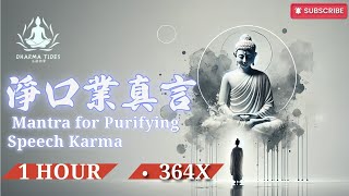 淨口業真言 (梵音) Mantra for Purifying Speech Karma | 432Hz 療癒頻率 | 1小時364遍 | 淨化言語・消除業障・智慧啟發#mantra #432hz