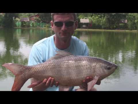 Lake Fishing Thailand - AC Phuket Fishing Park