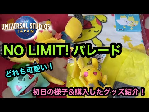 【USJ】めっちゃ可愛い！ポケモングッズ購入！[ユニバーサルスタジオジャパン][ユニバ]