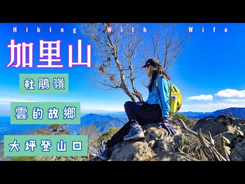 加里山『台版富士山』大坪登山口經杜鵑嶺攻頂第一次來，選擇路徑較短，人潮多，也比較熱門的『鹿場登山口』，這次特別選另一路徑『大坪登山口』經由杜鵑嶺上加里山三角點，O型環繞